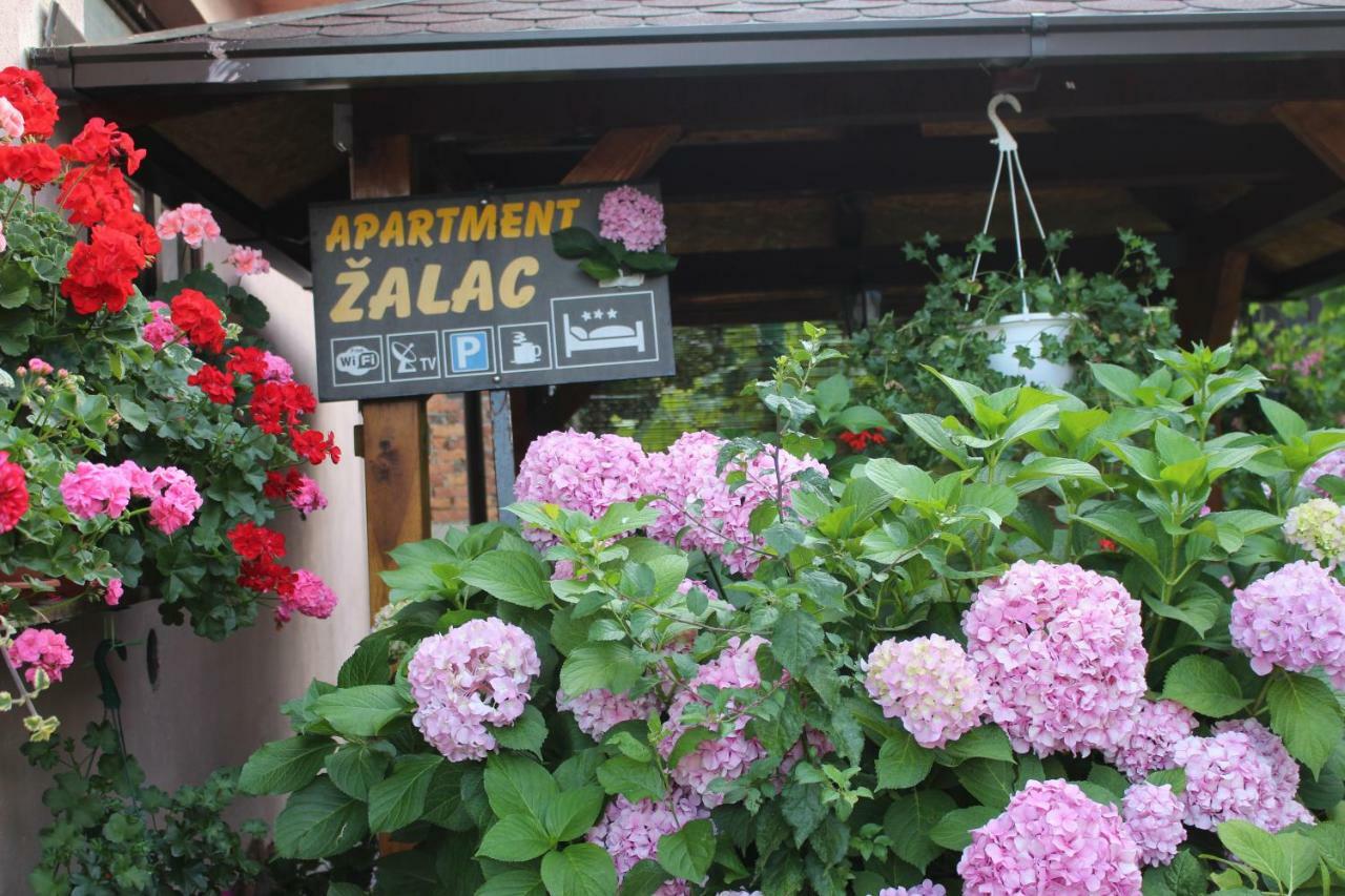 Apartment Zalac スルニュ エクステリア 写真